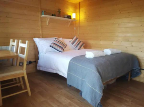 Luxury heated cabin in the heart of Totnes
